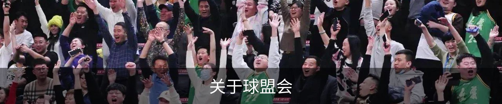 关于球盟会